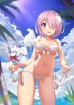  bikini character_request cloud cowboy_shot day dog fate/grand_order fate_(series) fisheye fou_(fate/grand_order) front-tie_top hair_over_one_eye highres jehyun looking_at_viewer mash_kyrielight outdoors palm_tree purple_eyes purple_hair short_hair side-tie_bikini swimsuit tree white_bikini 