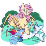  alternate_species arachnid arthropod couchcrusader cute duo equine female fluttershy_(mlp) friendship_is_magic horse hybrid mammal marine my_little_pony onomatopoeia pinniped rainbow_dash_(mlp) seal sound_effects spider 