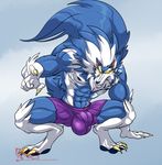  2017 5_fingers abs anthro biceps blue_fur blue_hair blue_nose blue_skin bulge canine clothing crouching darkstalkers fur glowing glowing_eyes hair hungothenomster jon_talbain male mammal multicolored_hair multicolored_skin muscular nipples penis_outline sharp_teeth short simple_background solo teeth tight_clothing two_tone_hair two_tone_skin video_games were werewolf white_fur white_hair white_skin wolf 