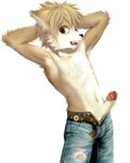  brown_eyes canine clothed clothing edit erection humanoid_penis kiske_7key looking_at_viewer male mammal open_mouth penis simple_background solo topless white_background 