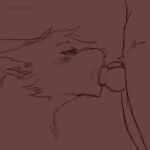  2018 2d_animation ambiguous_gender animated canine draco-canine knot loop male male/ambiguous mammal oral penis simple_background solo_focus tongue tongue_out 