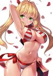  ahoge arm_behind_head arm_up armpits bangs bikini blonde_hair breasts closed_mouth commentary criss-cross_halter eyebrows_visible_through_hair fate/grand_order fate_(series) green_eyes hair_intakes halterneck highres large_breasts long_hair looking_to_the_side motokonut navel nero_claudius_(fate)_(all) nero_claudius_(swimsuit_caster)_(fate) petals red_bikini rose_petals side-tie_bikini sidelocks simple_background smile solo striped striped_bikini swimsuit thighs twintails wavy_hair white_background 