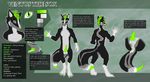  2017 4_toes 5_fingers animal_genitalia animal_penis anthro anus balls black_fur butt canine canine_penis claws close-up crazyeyes design digitigrade english_text erection fluffy fluffy_tail fox front_view fur green_eyes green_fur green_hair grey_fur grin hair herm hybrid inner_ear_fluff intersex knot looking_at_viewer looking_back maleherm mammal model_sheet multicolored_fur multicoloured_tail nude pawpads paws penis pussy rear_view skunk slit_pupils smile solo standing stripes teeth text toe_claws toes tongue tongue_out ventusthesox white_fur 