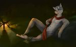  anthro campfire cat clothing devilizer eyebrows feline fur green_eyes grey_fur invalid_color log_horizon looking_at_viewer male mammal nude nyanta open_mouth open_smile pink_nose scarf seductive smile solo white_fur 