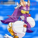  big_butt blush butt digitaldomain123 duo facesitting huge_butt miles_prower sonic_(series) sonic_riders wave_the_swallow 