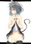  animal_ears bangs black_legwear blush breasts brown_eyes closed_mouth commentary_request cowboy_shot cum cumdrip eyebrows_visible_through_hair grey_hair groin letterboxed lifted_by_self looking_at_viewer medium_breasts mikagemaru_(mikage000) mouse_ears mouse_tail navel nazrin nipples outside_border profile pussy short_hair skirt skirt_lift solo stomach tail thighhighs topless touhou 