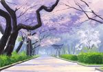  bush cherry_blossoms commentary day gate grass highres hirota_(masasiv3) no_humans outdoors path road scenery sky tree 