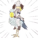  bangs bird bird_tail commentary_request emphasis_lines fingerless_gloves gloves grey_hair grey_shirt grey_shorts head_wings kemono_friends looking_at_viewer low_ponytail multicolored_hair necktie niwma_(myriad_revery) pantyhose riding shirt shoebill shoebill_(kemono_friends) shorts side_ponytail simple_background solo staring white_background white_neckwear 