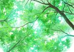  day highres hirota_(masasiv3) leaf nature no_humans outdoors scenery sky tree 