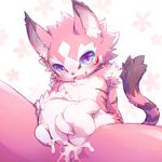  anal anthro anus balls blush breasts cat claws cotora cub cum cum_in_ass cum_inside cute dickgirl fangs feline fur intersex kemono looking_at_viewer mammal nipples nude nyaou open_mouth penis pink_fur precum presenting purple_eyes simple_background solo spread_anus spreading uncut young 