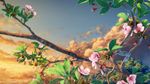  blue_sky branch cherry_blossoms close-up cloud cloudy_sky commentary_request day flower leaf no_humans original outdoors scenery sky still_life sunrise tree yuu_knmy 