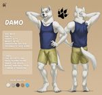  2017 4_toes 5_fingers anthro barefoot biped black_nose blue_clothing blue_eyes blue_shirt blue_topwear canine claws clothed clothing color_swatch damo digital_media_(artwork) digitigrade english_text fluffy fluffy_tail front_view fully_clothed fur green_bottomwear green_clothing green_shorts grey_claws hand_behind_head hand_on_hip hi_res looking_at_viewer male mammal model_sheet multiple_angles pawprint rear_view rov shirt shorts signature simple_background smile snout solo standing tan_background tank_top tattoo text toe_claws toes white_fur white_tail wolf 