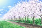 cherry_blossoms cloud commentary_request day grass highres hirota_(masasiv3) no_humans outdoors road scenery sky tree 