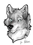  2017 blue_eyes canine headshot_portrait icon mammal portrait rakan revaivwra scar simple_background solo traditional_media_(artwork) watercolor_(artwork) were werewolf white_background 