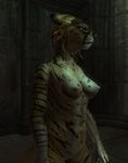  khajiit oblivion tagme the_elder_scrolls 