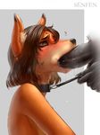  2017 anthro blush canine collar fellatio female fox fur hair leash male male/female mammal nude oral penis sex simple_background xiongfeng95 zepompom 