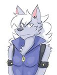  canine doopcity fur grey_fur hair hi_res male mammal pretty_cure reaction_image white_hair wolfrun 