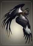  ambiguous_gender avian black_feathers canine claws feathered_wings feathers grey_background hybrid mammal simple_background tatchit wings 