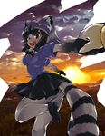  :d animal_humanoid armwear black_hair bow_tie breasts brown_eyes butt clothed clothing cloud common_raccoon_(kemono_friends) duo elbow_gloves female footwear gloves grey_hair hair hand_holding humanoid kemono_friends legwear mammal multicolored_hair open_mouth raccoon raccoon_humanoid shirt shoes short_hair sigmarion skirt smile striped_tail stripes sunset teeth tights 