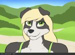  2017 anthro black_fur blonde_hair border_collie bust_portrait canine clothed clothing collie corporalbackrubs digital_media_(artwork) dog female field fur green_eyes hair hi_res long_hair looking_at_viewer mammal multicolored_fur outside portrait shirt sky smile solo two_tone_fur white_fur 