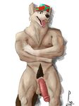  2017 balls canine dog hat hi_res looking_at_viewer male mammal mascot muscular muscular_male nipples nude old_spice open_mouth penis pubes rainy4k smile tongue tongue_out uncut wolf wolfthorn_(old_spice) 