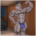  &infin; 2011 aaron_(artist) abs anthro belly biceps big_muscles black_border blue_bottomwear blue_clothing blue_underwear border brown_eyes bulge clothed clothing detailed_background digital_media_(artwork) flexing front_view grey_hair grey_skin grey_tail hair hand_on_hip hi_res hippopotamus inside looking_at_viewer male mammal manly mature_male muscular muscular_male nipples one_eye_closed open_mouth pecs pepsi_(fa) pink_nipples pink_tongue portrait pose quads relaxing short_hair signature simple_background sofa solo standing symbol teeth thong three-quarter_portrait tongue topless underwear window wink wyatt_eman 