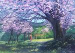  bad_id bad_pixiv_id brown_hair cherry_blossoms day from_behind highres looking_away original outdoors scenery short_hair signature somei_yoshinori spring_(season) torii tree 