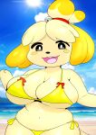 absurd_res animal_crossing anthro bell big_breasts black_eyes blush blush_stickers breasts canid canine canis clothing domestic_dog female fur furry_funnychan hair hi_res isabelle_(animal_crossing) looking_at_viewer mammal navel nintendo open_mouth open_smile orange_body orange_fur orange_hair shih_tzu smile solo swimwear tan_body tan_fur tan_hair thick_thighs toy_dog wide_hips yellow_clothing yellow_swimwear