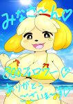 &lt;3 absurd_res animal_crossing anthro bell big_breasts black_eyes blush blush_stickers breasts canid canine canis clothing domestic_dog female fur furry_funnychan hair hi_res isabelle_(animal_crossing) japanese_text looking_at_viewer mammal navel nintendo open_mouth open_smile orange_body orange_fur orange_hair shih_tzu smile solo swimwear tan_body tan_fur tan_hair text thick_thighs toy_dog wide_hips yellow_clothing yellow_swimwear