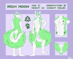  anthro breasts canine female invalid_color irish_moon mammal model_sheet nude piercing pussy wolf 