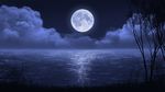  commentary grass lake mclelun moon night night_sky no_humans outdoors scenery sky tree 