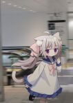  1girl :&lt; animal_ear_fluff animal_ears black_footwear blue_sailor_collar blurry blurry_background blush bow cat_ears cat_girl cat_tail closed_mouth commentary_request dress escalator frilled_dress frills grey_hair grey_socks hair_ribbon hand_up highres long_hair long_sleeves motion_blur nakkar original photo_background pink_bow pink_ribbon puffy_long_sleeves puffy_sleeves purple_eyes ribbon running sailor_collar sailor_dress shoes sleeves_past_wrists socks solo tail twintails twitter_username watermark white_dress 