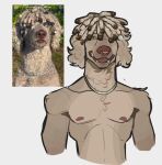 anthro canid canine canis domestic_dog dreadlocks facial_piercing floppy_ears fur jewelry male mammal necklace nose_piercing nose_ring piercing ramahuro ring_piercing solo