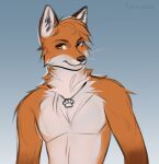 anthro arm_tuft canid canine chest_tuft dipstick_arms dipstick_ears fox fur head_tuft hi_res jewelry lawaros looking_at_viewer male mammal multicolored_ears muscular necklace orange_body orange_eyes orange_fur shoulder_tuft simple_background smile smirk solo tuft whiskers