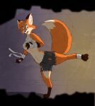 anthro bandage bottomwear breasts canid canine clothed clothing crop_top digital_media_(artwork) female fight fox fur hi_res mammal multicolored_body multicolored_fur nortfox orange red_fox shirt shorts solo tail topwear torn_clothing true_fox under_boob white_clothing white_topwear