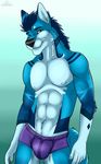  2017 abs anthro athletic black_nose blue_eyes blue_fur blue_hair bulge canine cinta clothing eyebrows fur grin hair looking_at_viewer male mammal markings multicolored_fur muscular pose simple_background smile solo standing tight_underwear underwear white_fur wolf 