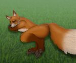  anthro canid canine fluffy fluffy_tail fox grass green_eyes hi_res looking_at_viewer lying male mammal on_side outside pawpads plant rahir_(artist) smile solo tail 