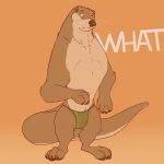 1:1 2017 3_toes 4_fingers anthro biped brown_body brown_fur claws clothing digital_drawing_(artwork) digital_media_(artwork) english_text feet finger_claws fingers fur green_clothing green_speedo green_swimwear hi_res looking_away male mammal mosin mustelid orange_eyes otter paws simple_background solo speedo standing swimwear tail text thick_tail toe_claws toes
