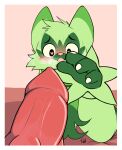 blush bodily_fluids claws duo erection floragato generation_9_pokemon genital_fluids genitals hi_res male male/male mammal nintendo open_mouth penis pokemon pokemon_(species) precum pukizel_(artist)