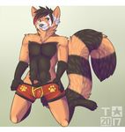  2017 animal_genitalia anthro blush brown_fur clothing digital_media_(artwork) fur hair kneeling konomichi looking_at_viewer mammal orange_fur peeking red_panda sheath simple_background smile solo taintedstar teasing underwear 