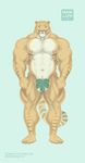  2017 abs anthro areola balls big_arms big_balls big_penis blue_eyes blush feline fig_leaf flaccid hybrid hyper hyper_muscles liger mainlion male mammal markings muscular muscular_male nipples nude pecs penis simple_background solo stripes thick_thighs veiny_muscles 