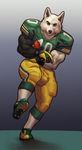  2014 american_football anthro arctic_wolf ball biceps biped black_nose blazingifrit canine clothed clothing digital_media_(artwork) eyebrows football_(ball) football_jersey football_player football_uniform footwear front_view fully_clothed fur gloves gradient_background green_clothing green_eyes green_topwear hi_res holding_ball holding_object isaiah_switzer jersey legwear looking_at_viewer male mammal muscular muscular_male pants pepsi_(fa) running shoes simple_background socks solo sport uniform white_clothing white_fur white_legwear white_socks wolf yellow_bottomwear yellow_clothing yellow_pants 
