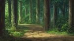  dao_dao day forest grass highres landscape nature no_humans outdoors path plant road scenery tree 