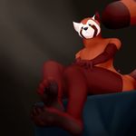  4_toes anthro bed claws feet foot_fetish foot_focus fur male mammal nude paws plantigrade red_panda schizy simple_background sitting soles solo the_legend_of_korra toes yellow_sclera 