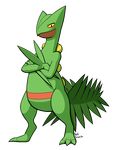  artist_name black_eyes claws crossed_arms dakkpasserida feet full_body legs_apart looking_at_viewer looking_down no_humans pokemon pokemon_(creature) pokemon_rse sceptile signature simple_background smile solo standing tail text transparent_background yellow_sclera 