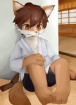  3_toes 4_fingers bone brown_eyes brown_fur brown_hair canine clothed clothing cub dog fur hair kakusanovo male mammal open_shirt shorts sitting solo toes young 