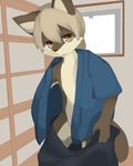  anthro brown_fur brown_hair canine clothed clothing convenient_censorship cub dog fur green_eyes hair kakusanovo male mammal open_shirt solo standing undressing young 