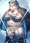  anthro bulge cai1448331577 cai1448331577_(artist) canine clothing fur headband horkeukamui loincloth looking_at_viewer mammal multicolored_fur slightly_chubby tokyo_afterschool_summoners white_fur wolf 