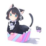 :&lt; animal_ears bell black_hair blue_eyes blush bow box cat_ears cat_tail curly_hair cyan_(show_by_rock!!) dress full_body gothic_lolita highres in_box in_container kyuuri_(miyako) lolita_fashion looking_at_viewer maid_headdress show_by_rock!! solo tail 