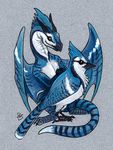  avian bird black_eyes black_feathers black_scales blue_feathers blue_jay blue_scales corvid dhstein dragon duo feathered_wings feathers feral horn male membranous_wings scales white_feathers white_scales wings 